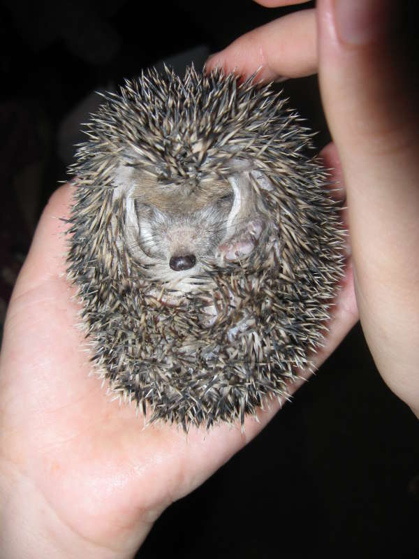 �������������... ����� �����������  �� PhotoGeek.ru #��������