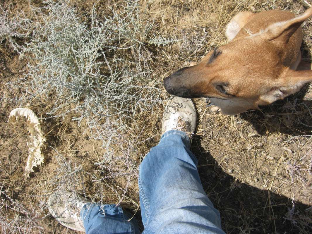 ����� � �����... ����� �����������  �� PhotoGeek.ru #��������