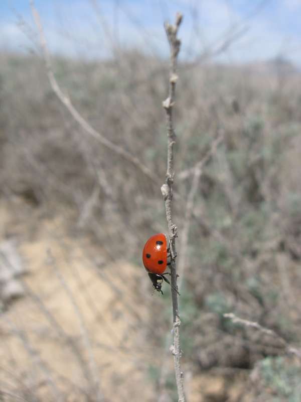 ����... ����� �����������  �� PhotoGeek.ru #��������