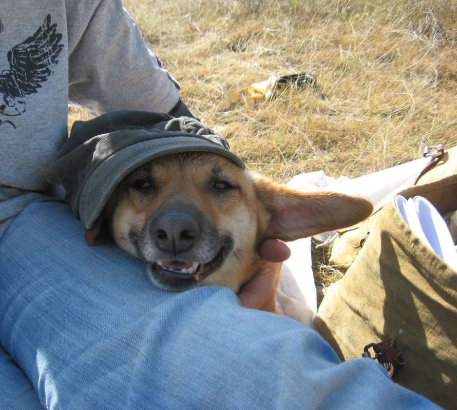 ������-�������... ����� �����������  �� PhotoGeek.ru #��������