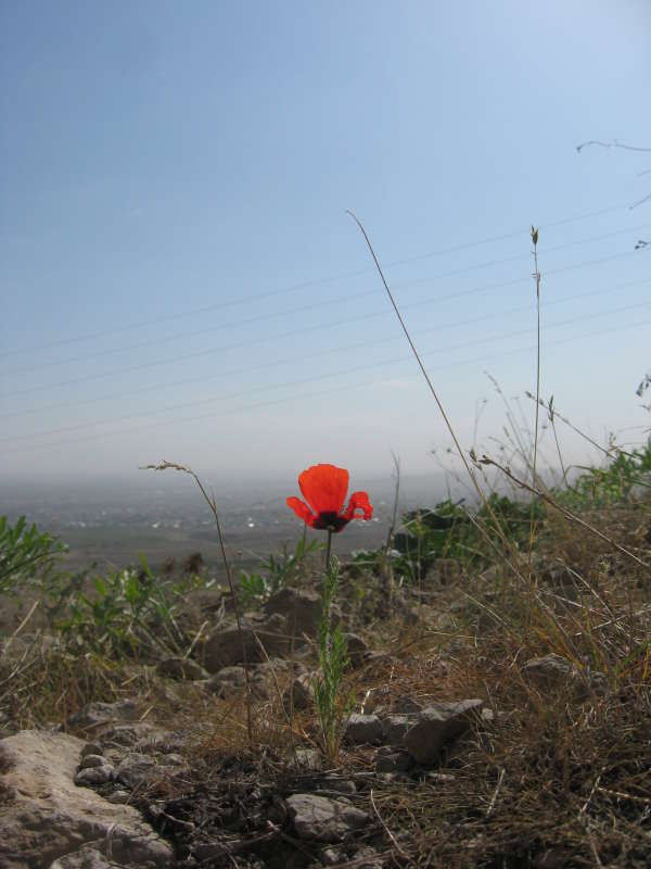 �������� ��������... ����� �����������  �� PhotoGeek.ru #��������