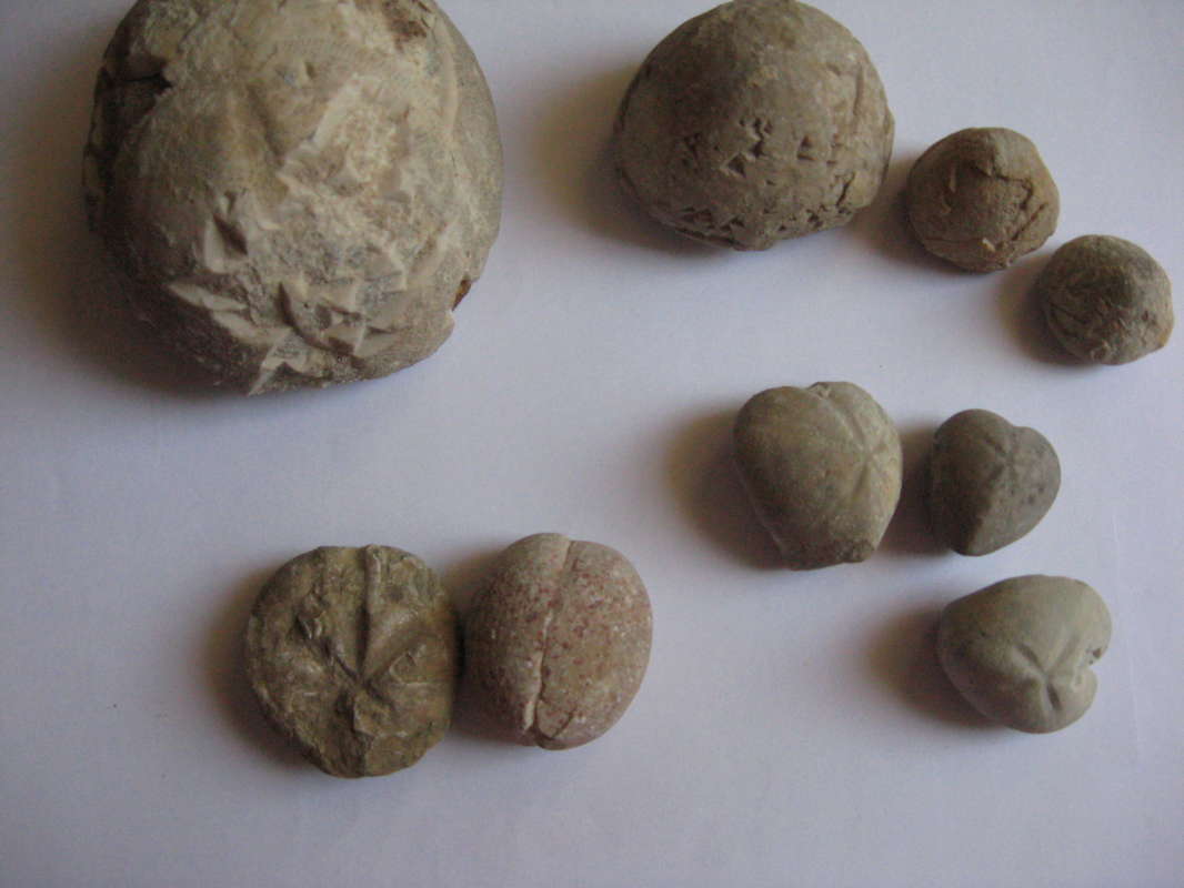 ������� ���... ����� �����������  �� PhotoGeek.ru #��������