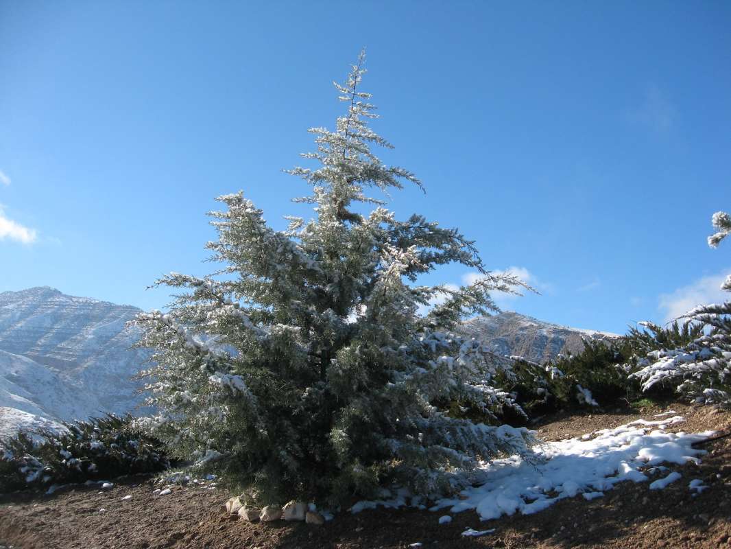 ����� ���������� ��������... ����� �����������  �� PhotoGeek.ru #��������