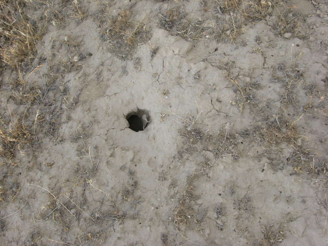 ��� � �����... ����� �����������  �� PhotoGeek.ru #��������