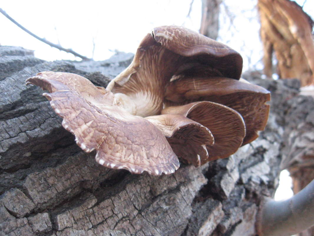 �������... ����� �����������  �� PhotoGeek.ru #��������