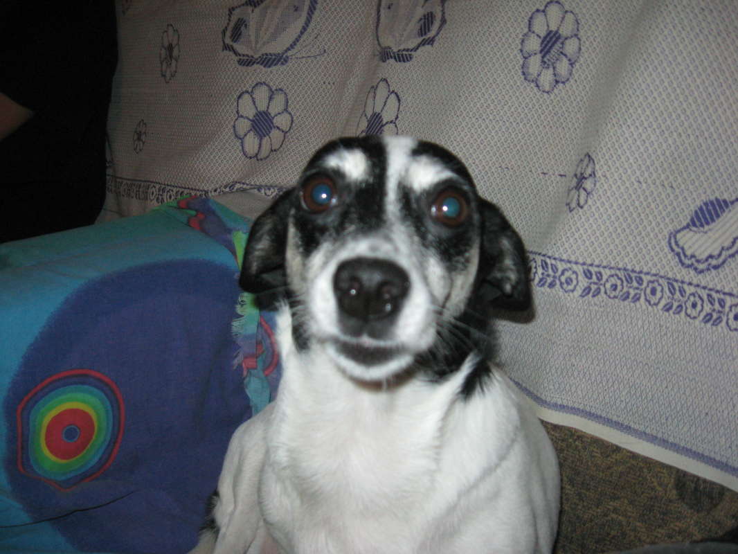 �������... ����� �����������  �� PhotoGeek.ru #��������