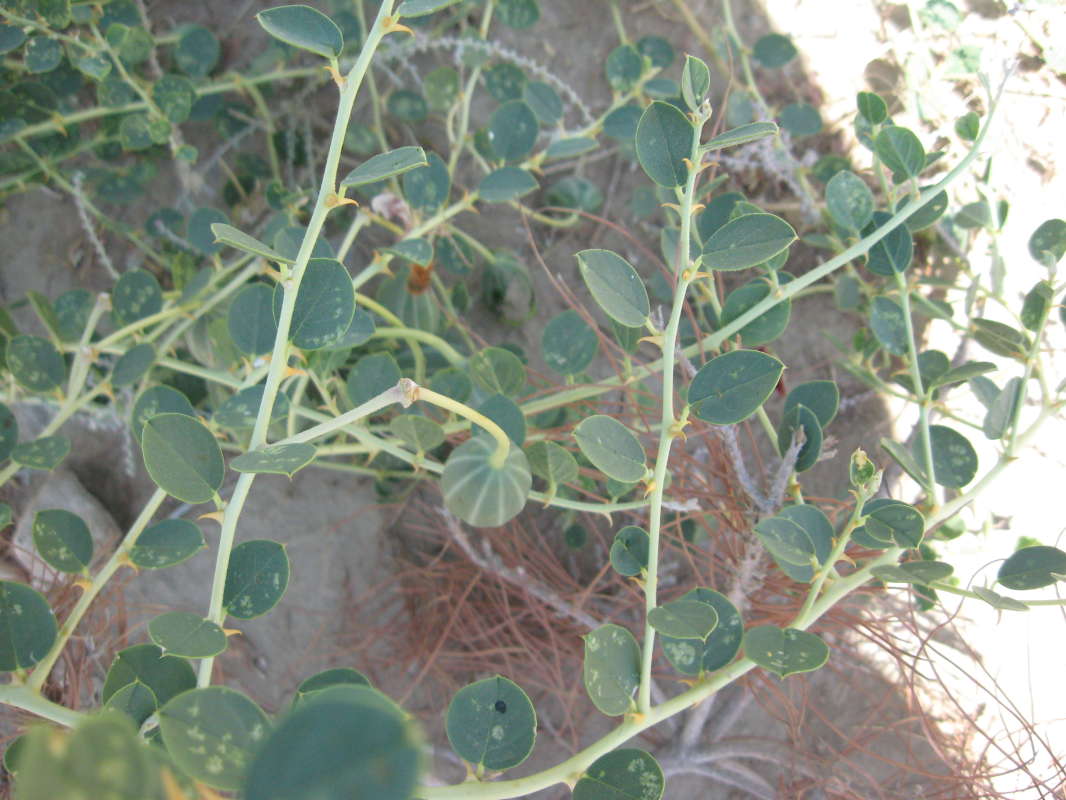 �������... ����� �����������  �� PhotoGeek.ru #��������