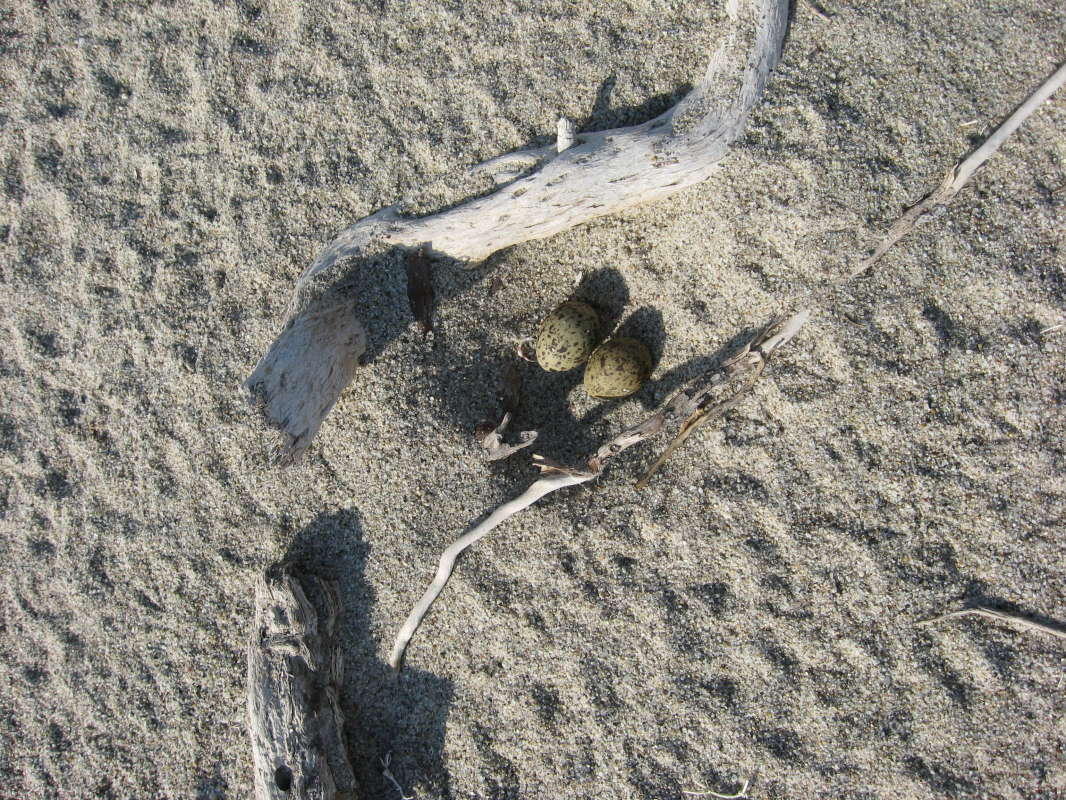 ������ �����... ����� �����������  �� PhotoGeek.ru #��������