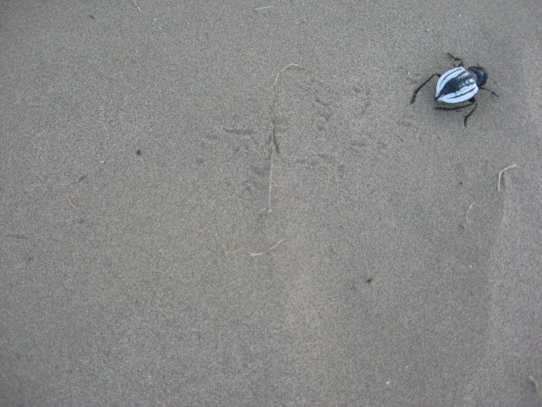 �� �����... ����� �����������  �� PhotoGeek.ru #��������