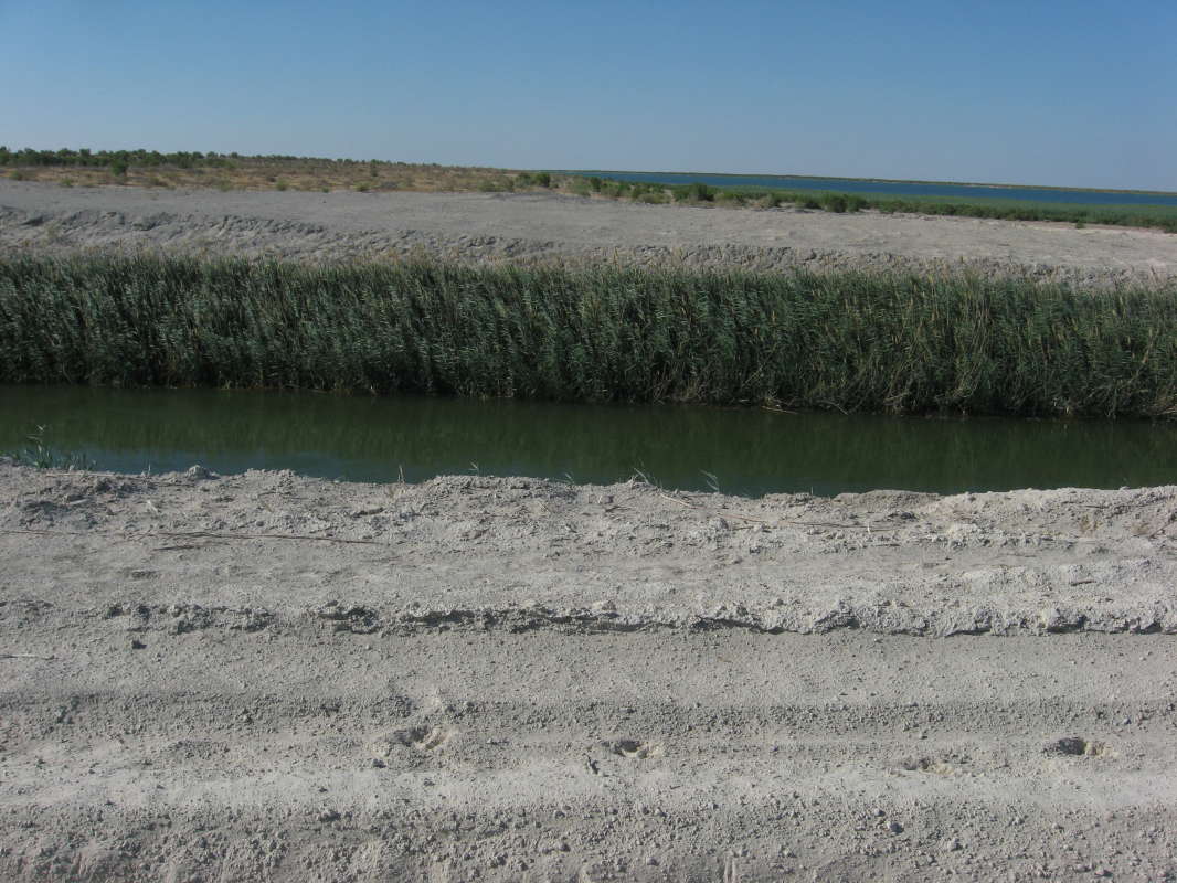 ���������... ����� �����������  �� PhotoGeek.ru #��������