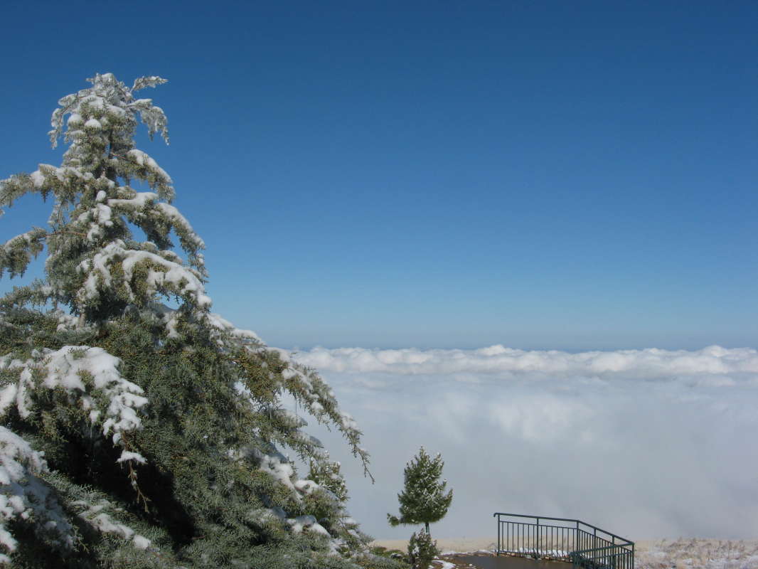 ����� ����������... ����� �����������  �� PhotoGeek.ru #��������