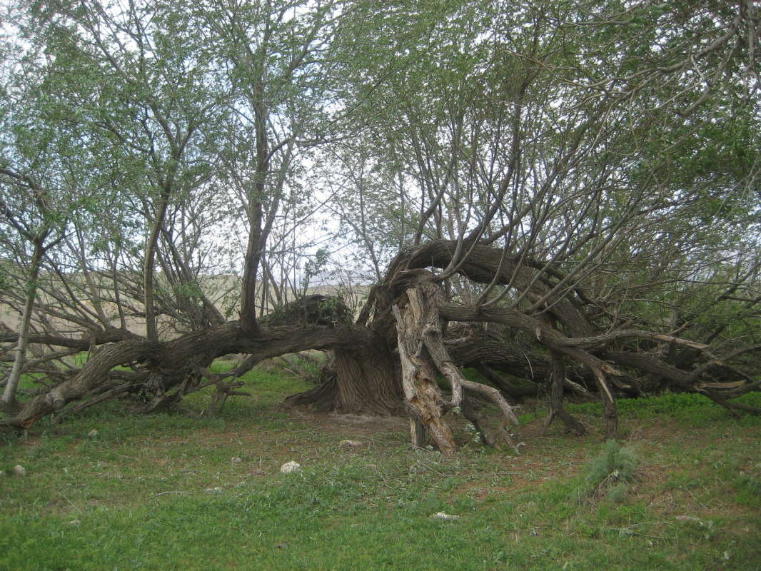 ��������� ����� ���� �� �����... ����� �����������  �� PhotoGeek.ru #��������