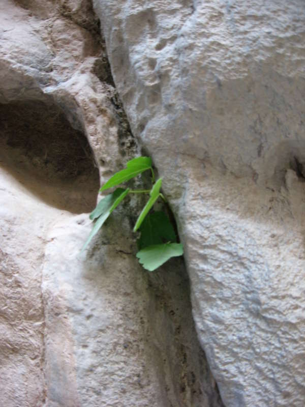 ����� ������... ����� �����������  �� PhotoGeek.ru #��������