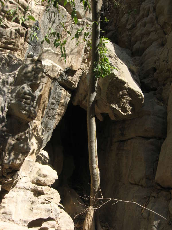 ������... ����� �����������  �� PhotoGeek.ru #��������