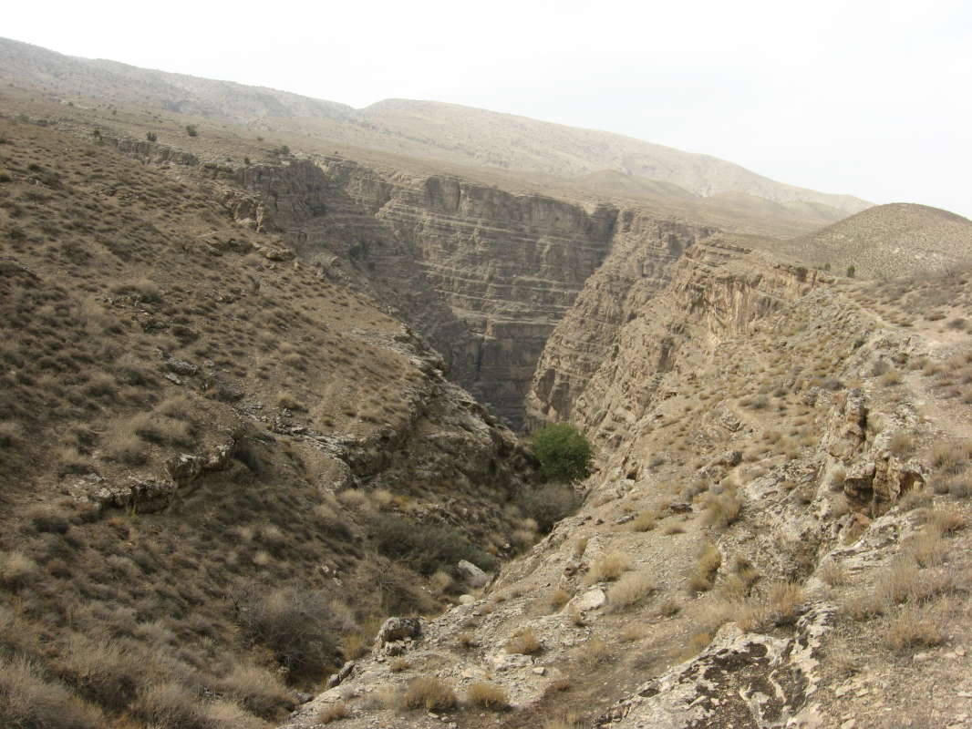 ������... ����� �����������  �� PhotoGeek.ru #��������