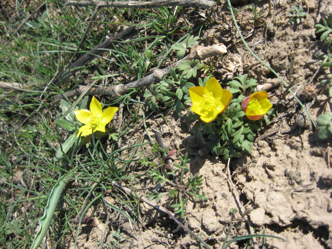 ������ ������... ����� �����������  �� PhotoGeek.ru #��������