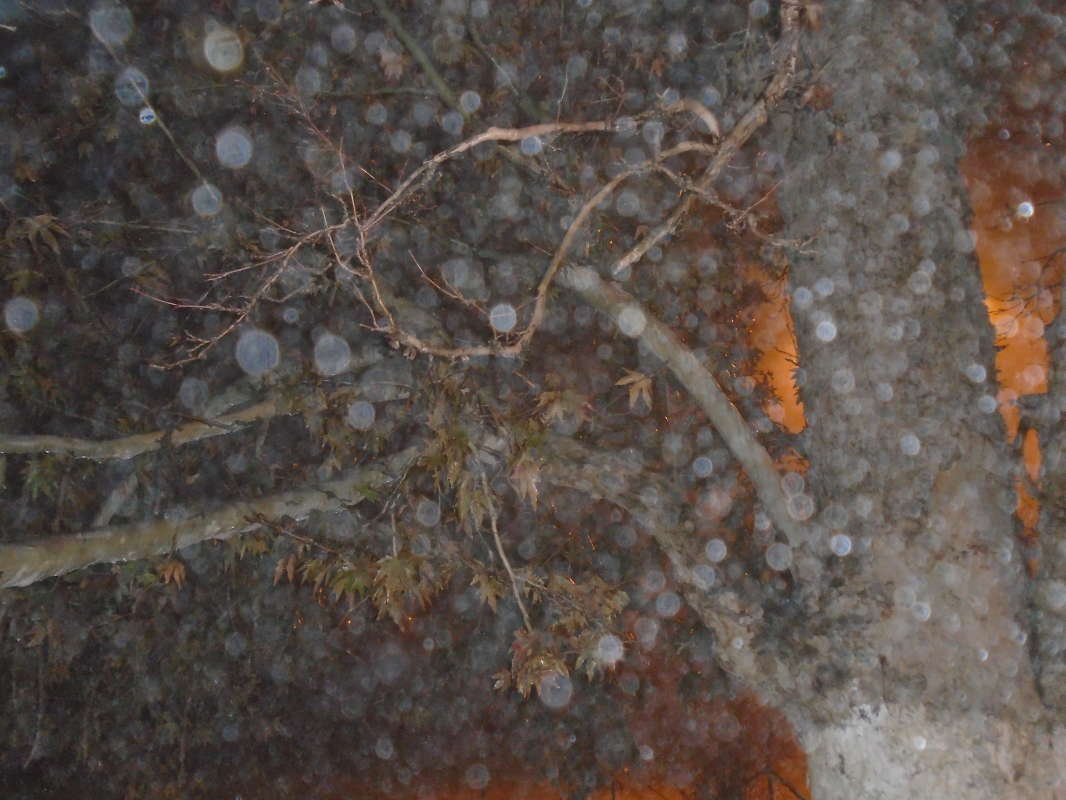 ������ ���������� �����... ����� �����������  �� PhotoGeek.ru #��������