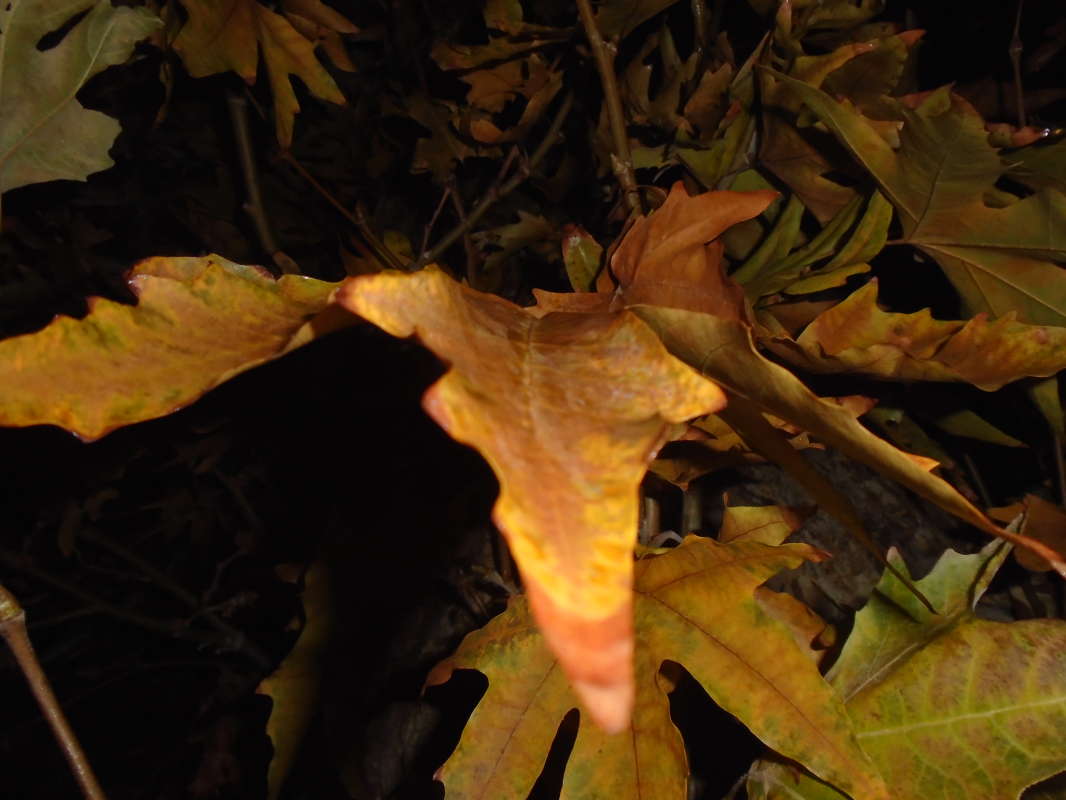 ����� �������... ����� �����������  �� PhotoGeek.ru #��������