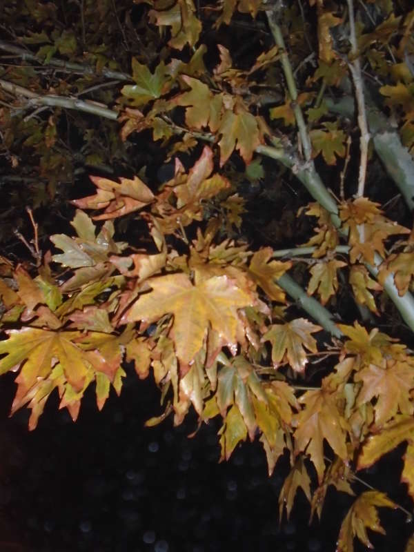 ����������� � ������... ����� �����������  �� PhotoGeek.ru #��������