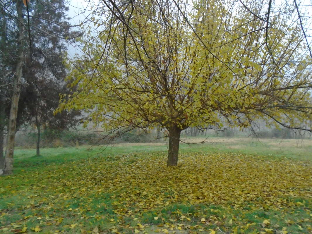 �������.... ����� �����������  �� PhotoGeek.ru #��������