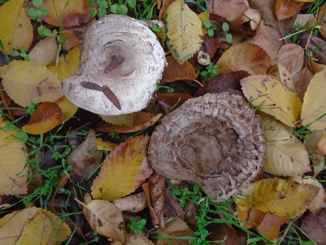 ��������, �� �����������... ����� �����������  �� PhotoGeek.ru #��������