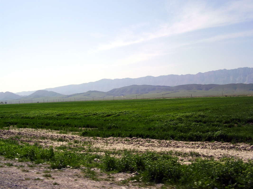 �� ���� ������... ����� �����������  �� PhotoGeek.ru #��������