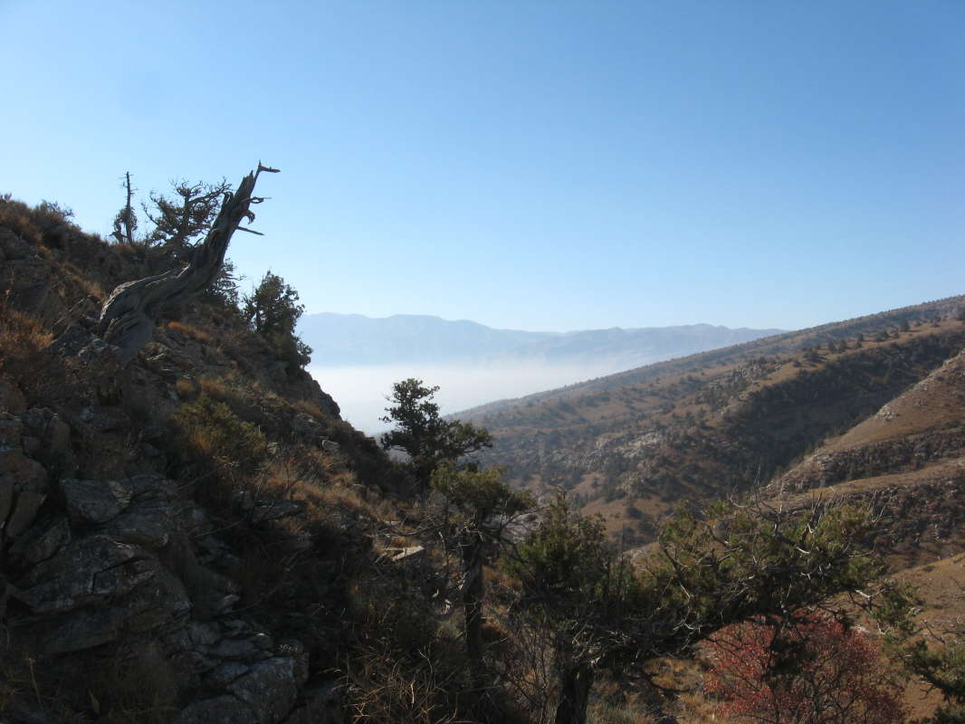 ����� ������... ����� �����������  �� PhotoGeek.ru #��������