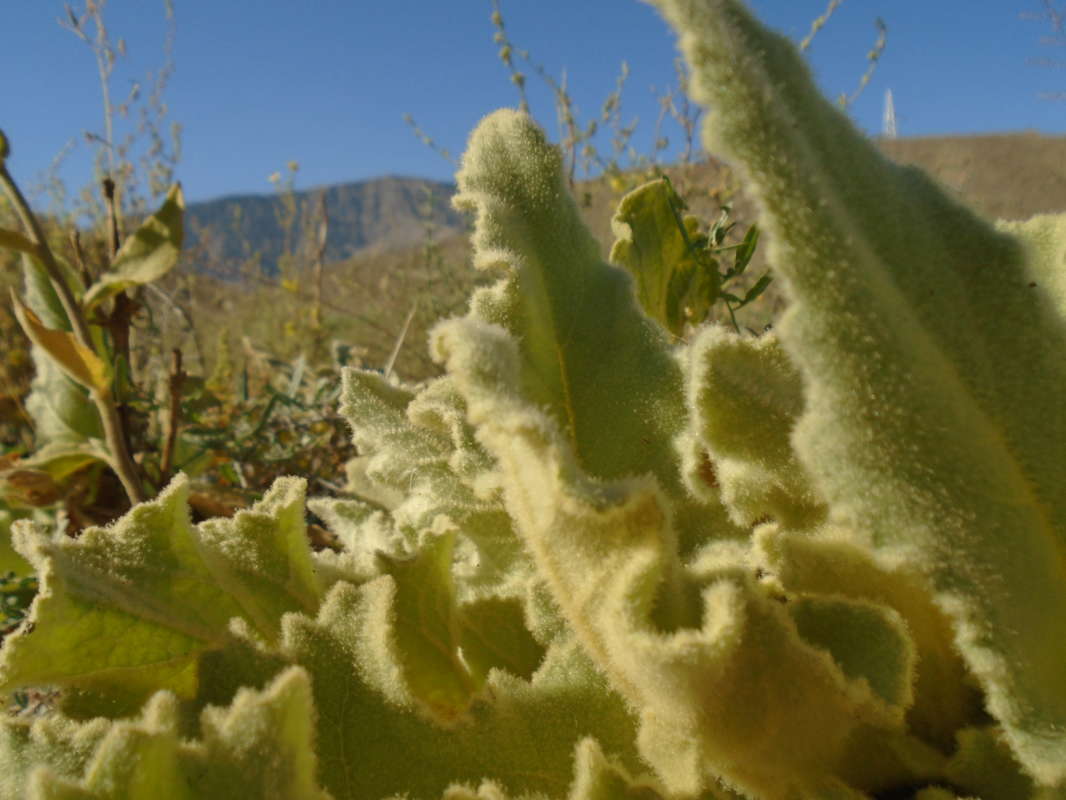 ��������... ����� �����������  �� PhotoGeek.ru #��������