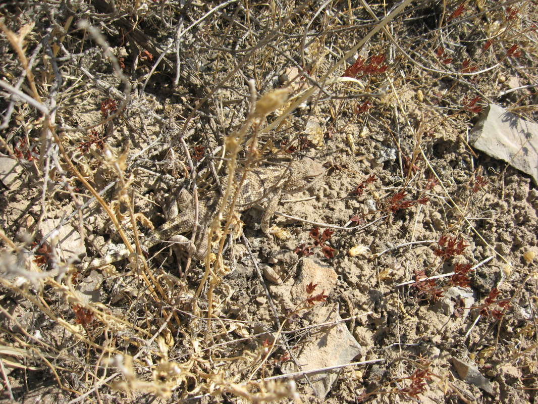 ��������������... ����� �����������  �� PhotoGeek.ru #��������