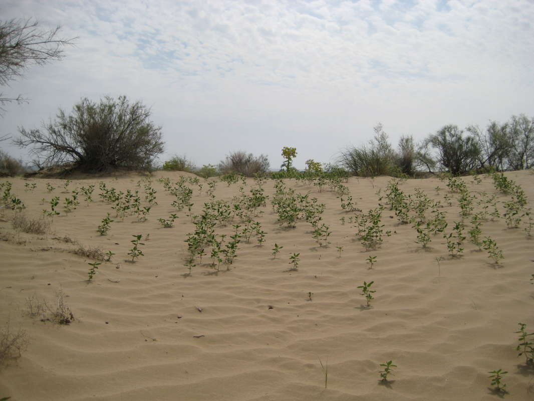 ������� �������... ����� �����������  �� PhotoGeek.ru #��������