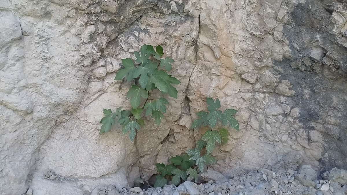 � ������� �� ������� ����... ����� �����������  �� PhotoGeek.ru #��������