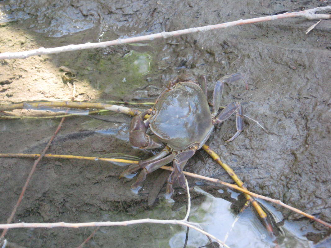 � ������ ������... ����� �����������  �� PhotoGeek.ru #��������