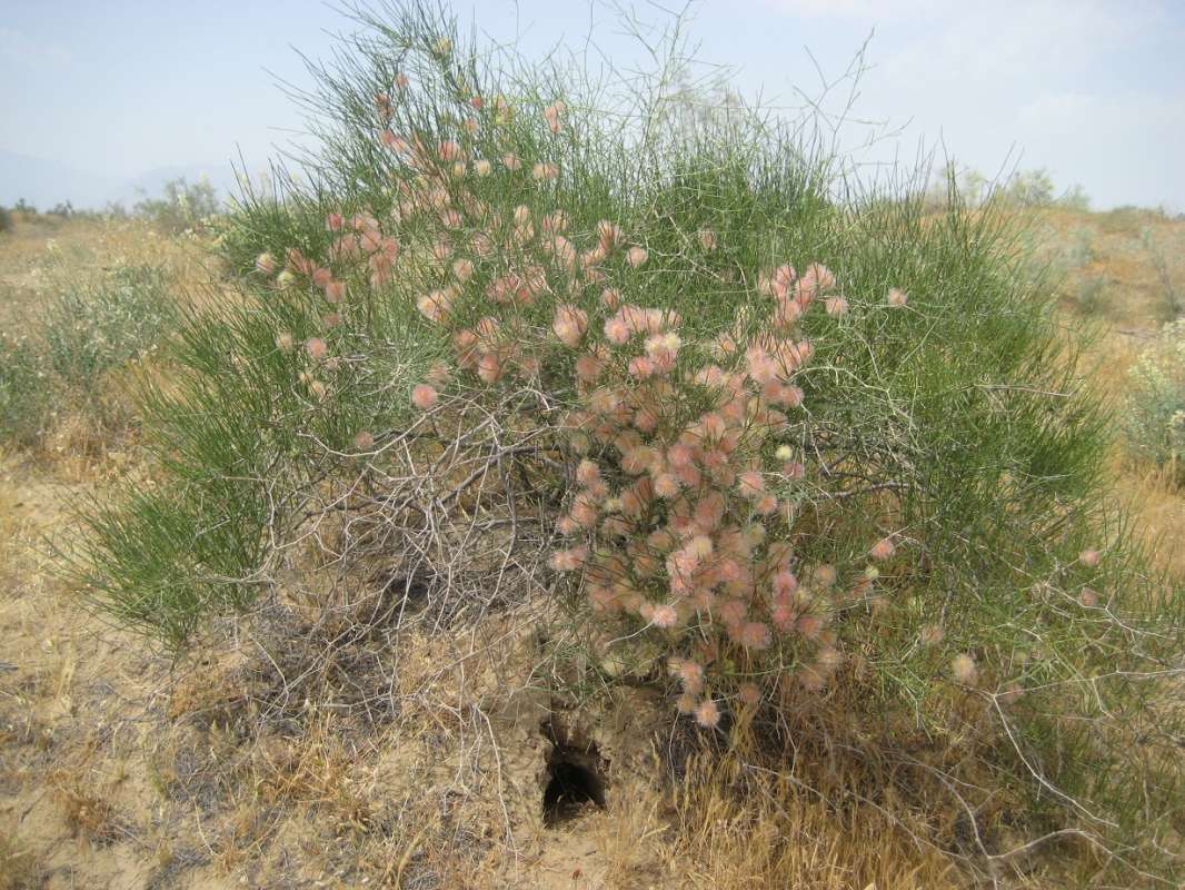 ����������� ���... ����� �����������  �� PhotoGeek.ru #��������