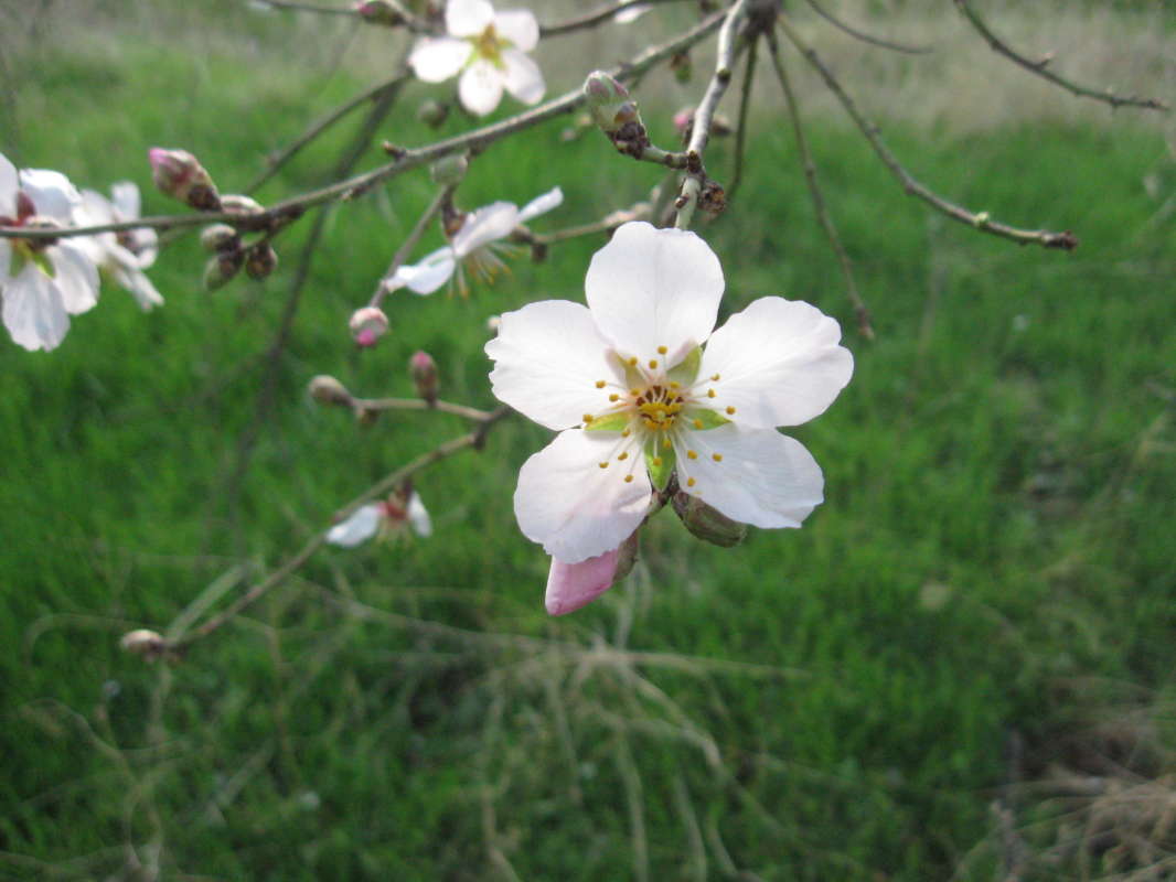 ����� �������... ����� �����������  �� PhotoGeek.ru #��������