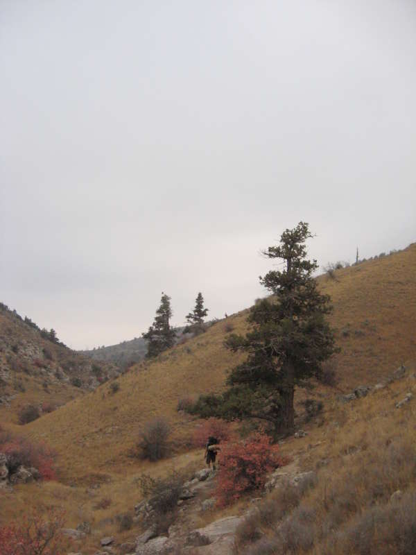 ���� � �����... ����� �����������  �� PhotoGeek.ru #��������