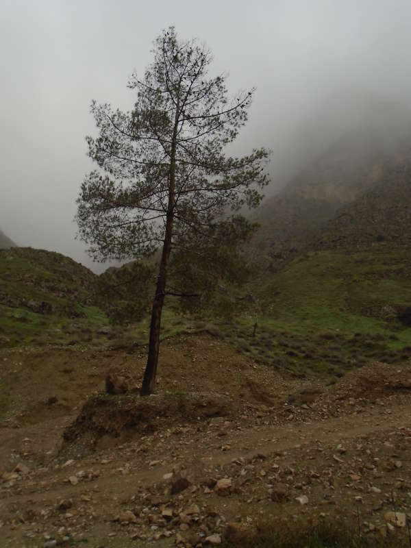 ����� � ������... ����� �����������  �� PhotoGeek.ru #��������