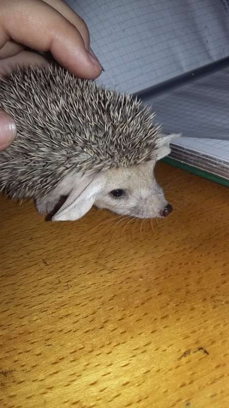 �����������... ����� �����������  �� PhotoGeek.ru #��������