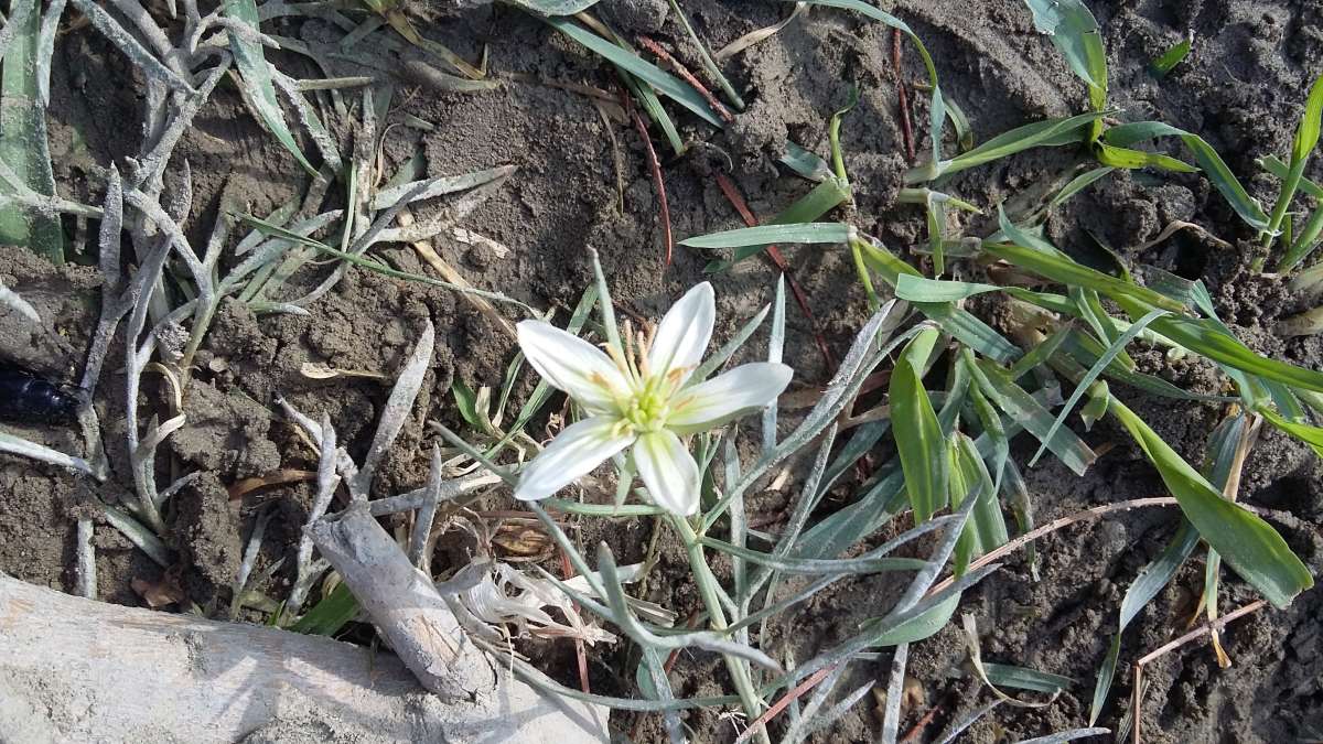 ������ �������... ����� �����������  �� PhotoGeek.ru #��������