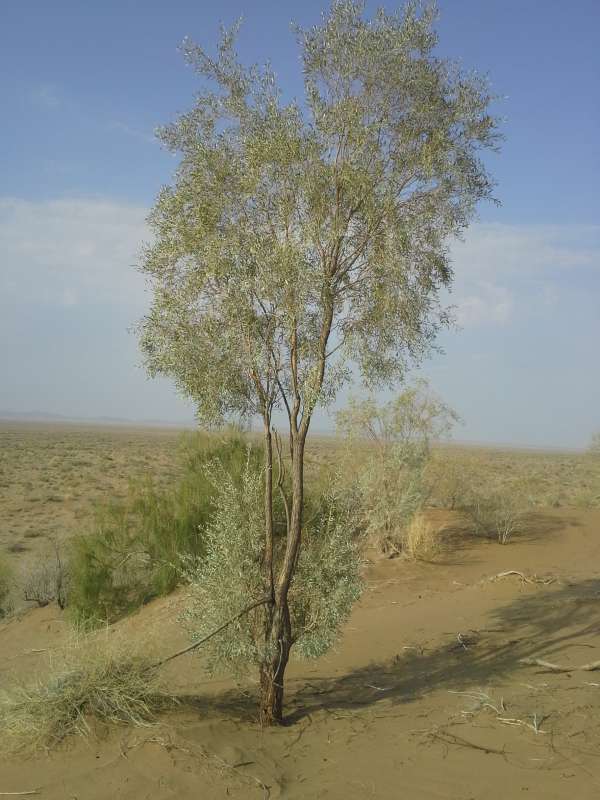 �������� ������... ����� �����������  �� PhotoGeek.ru #��������