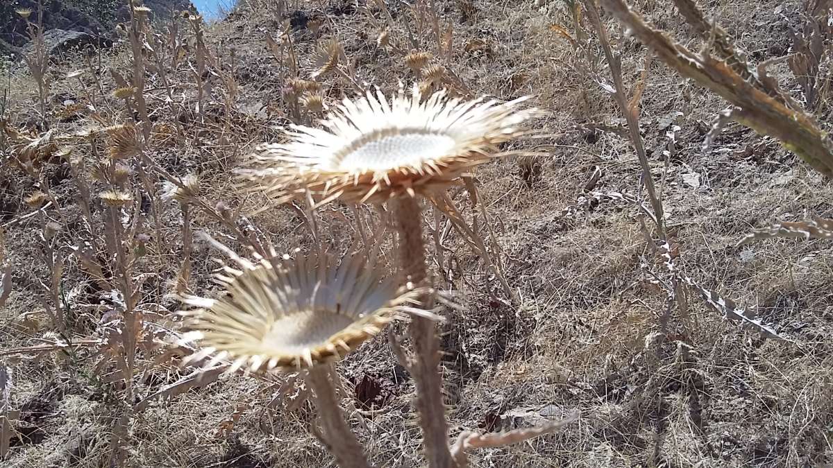 ... ����� �����������  �� PhotoGeek.ru #��������