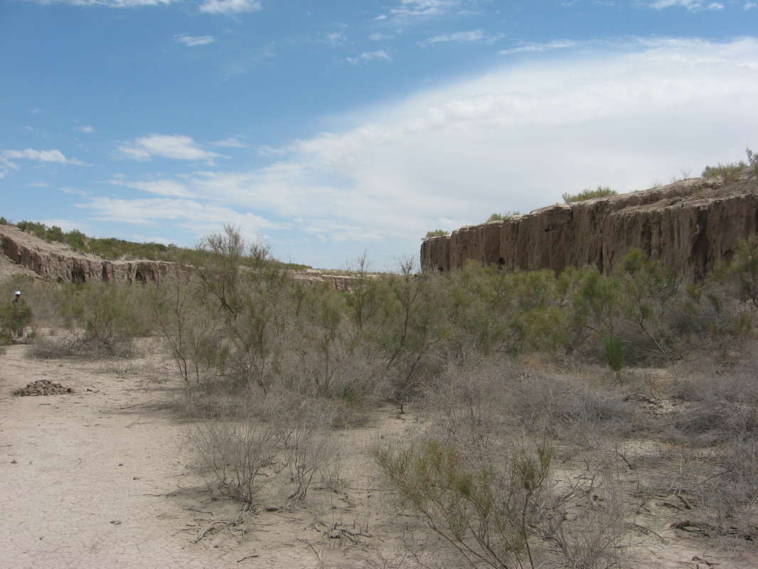 ������ ����� ����... ����� �����������  �� PhotoGeek.ru #��������