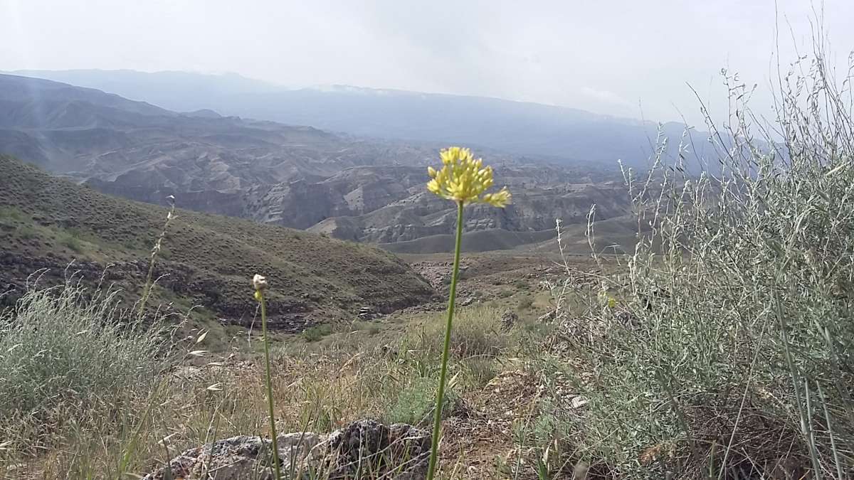 ����� ���... ����� �����������  �� PhotoGeek.ru #��������