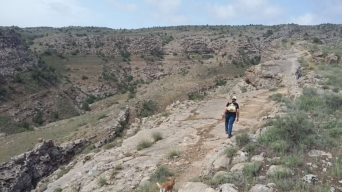 � ���� ������... ����� �����������  �� PhotoGeek.ru #��������