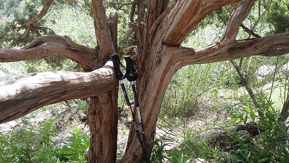 �� ������... ����� �����������  �� PhotoGeek.ru #��������