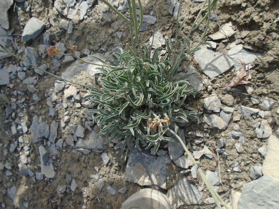 ��������... ����� �����������  �� PhotoGeek.ru #��������