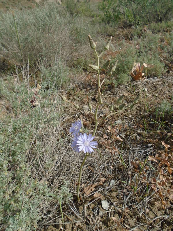 �������... ����� �����������  �� PhotoGeek.ru #��������