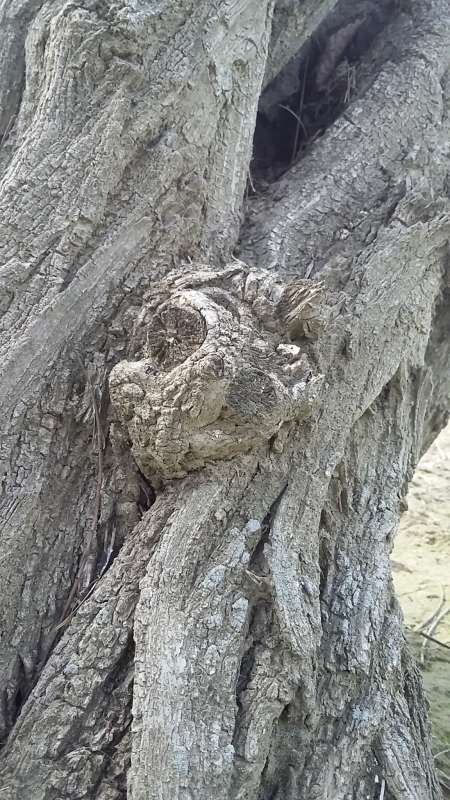 ������... ����� �����������  �� PhotoGeek.ru #��������