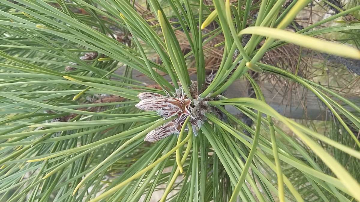 ����... ����� �����������  �� PhotoGeek.ru #��������