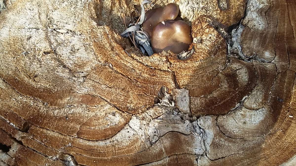 � �������... ����� �����������  �� PhotoGeek.ru #��������