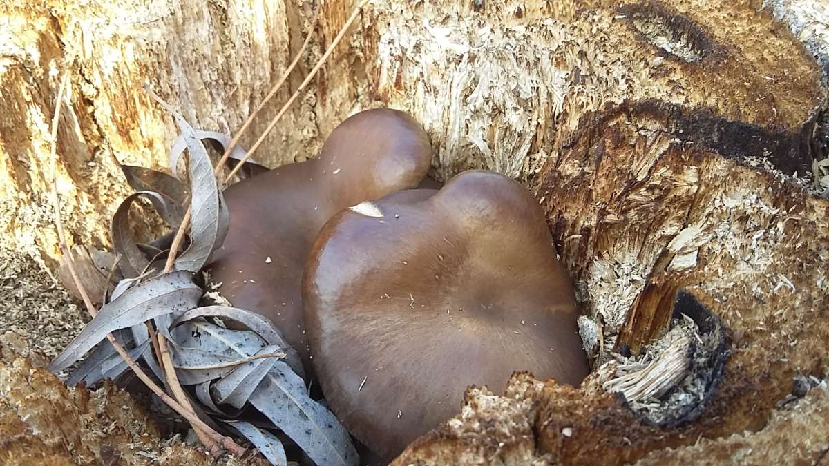 �������... ����� �����������  �� PhotoGeek.ru #��������